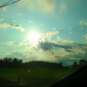 Meet your Posher, Bill